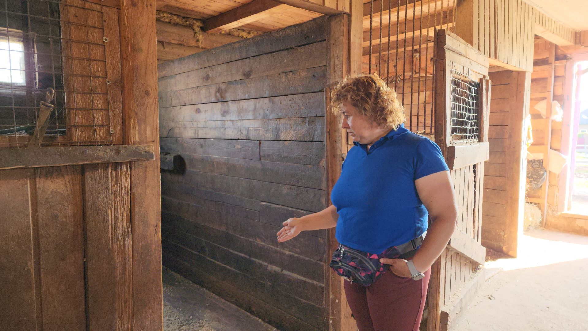 Конный клуб, Лобня , конная школа, Езда на лошадях,