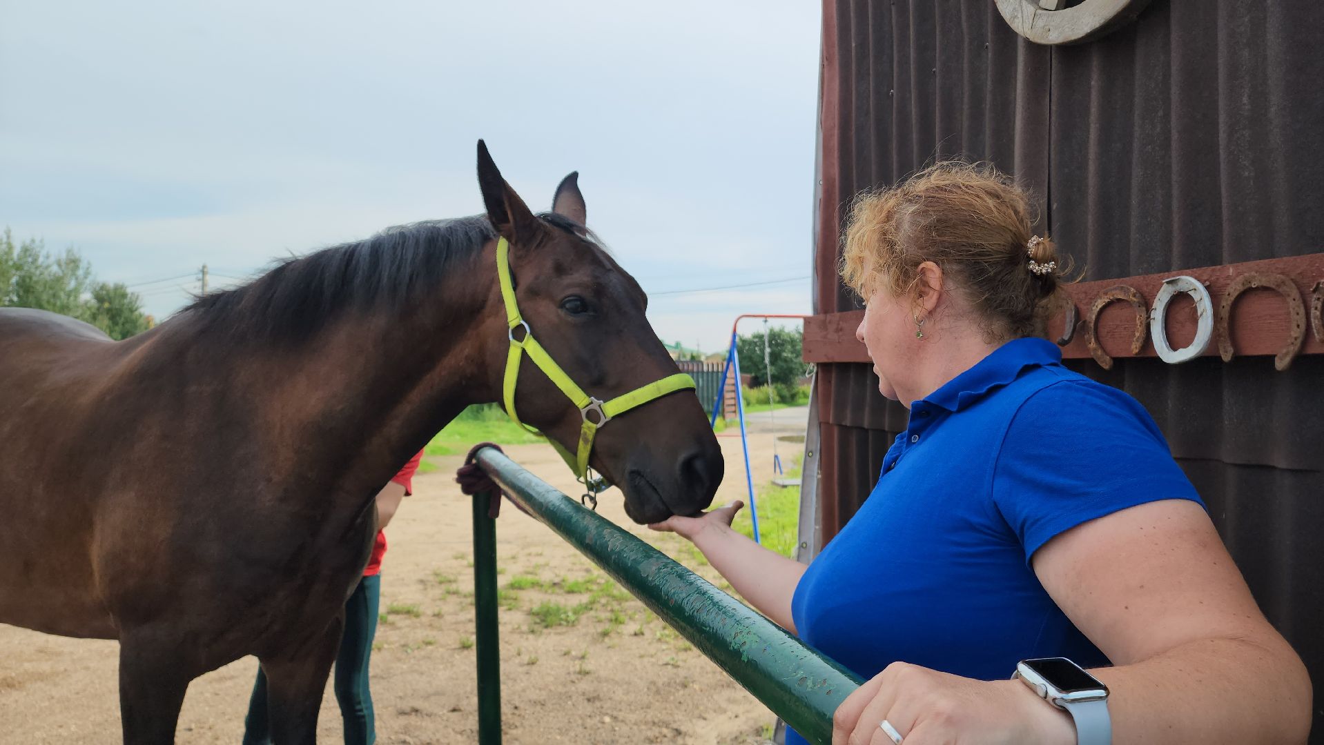 Конный клуб, Лобня , конная школа, Езда на лошадях,