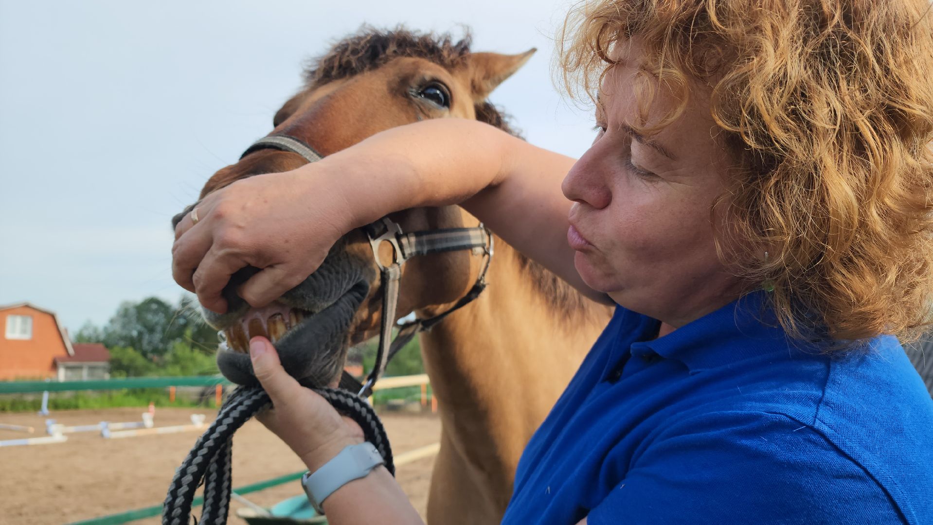 Конный клуб, Лобня , конная школа, Езда на лошадях,