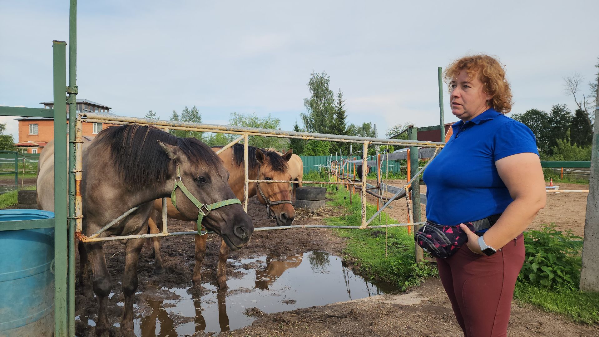 Конный клуб, Лобня , конная школа, Езда на лошадях,