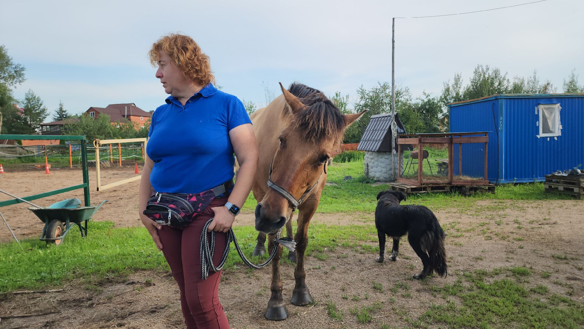 Конный клуб, Лобня , конная школа, Езда на лошадях,