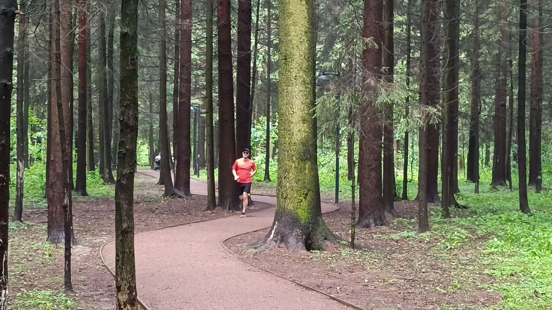 бег, спорт, лобня, лесопарк,