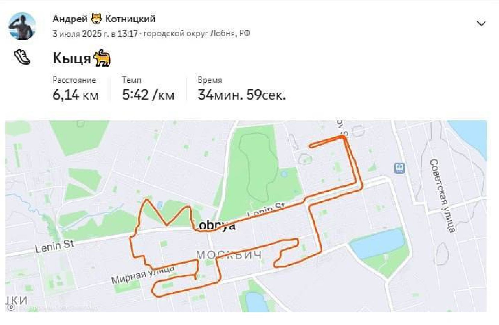 бег, спорт, лобня, лесопарк,