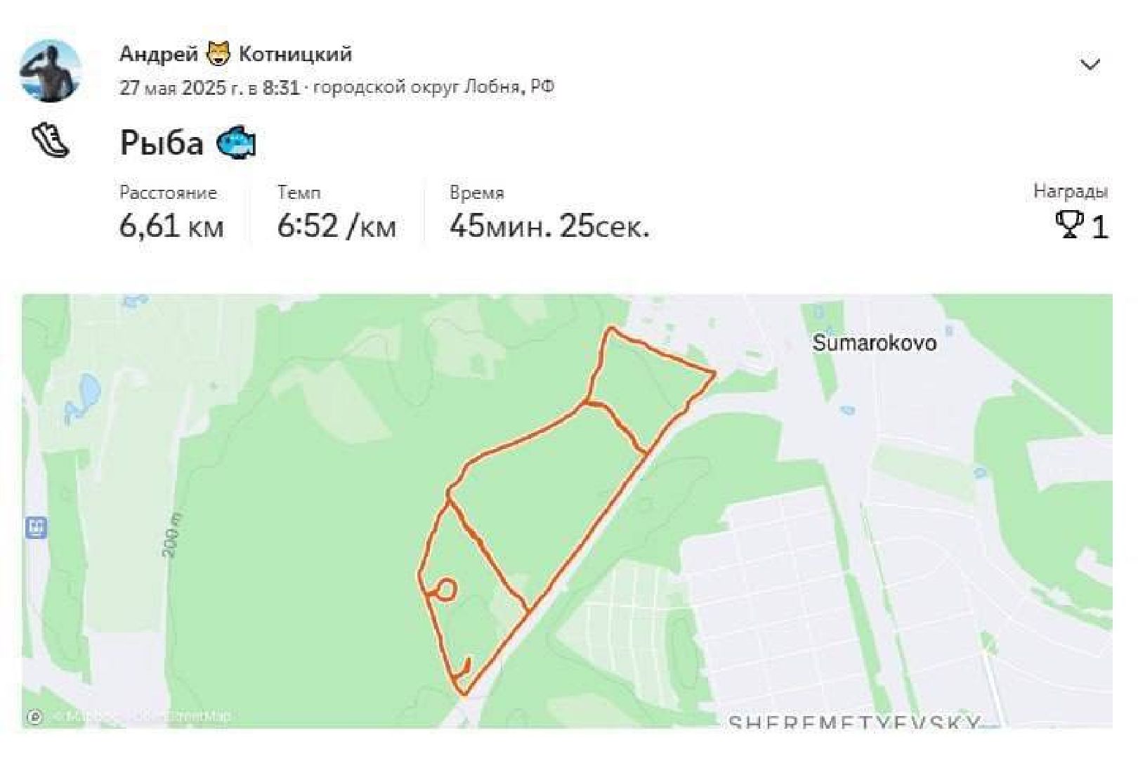 бег, спорт, лобня, лесопарк,