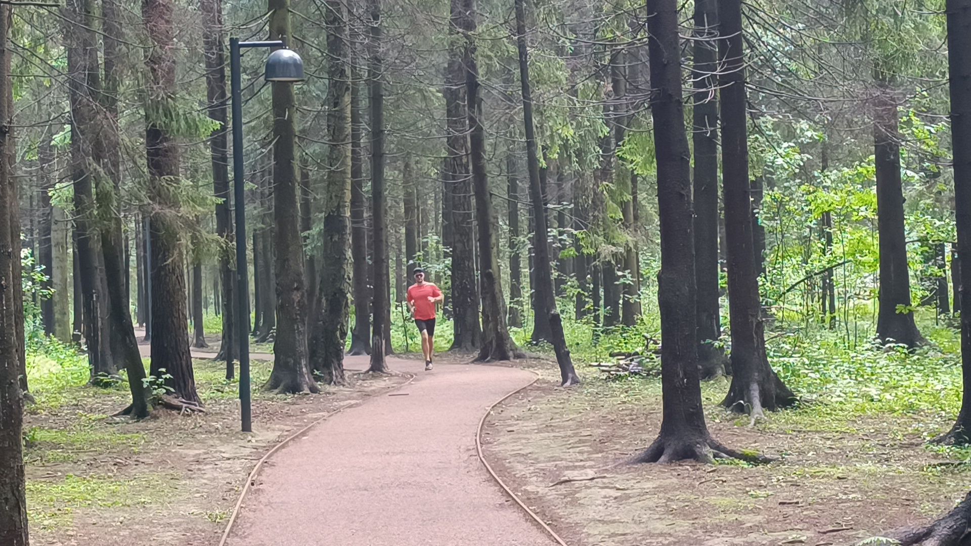 бег, спорт, лобня, лесопарк,