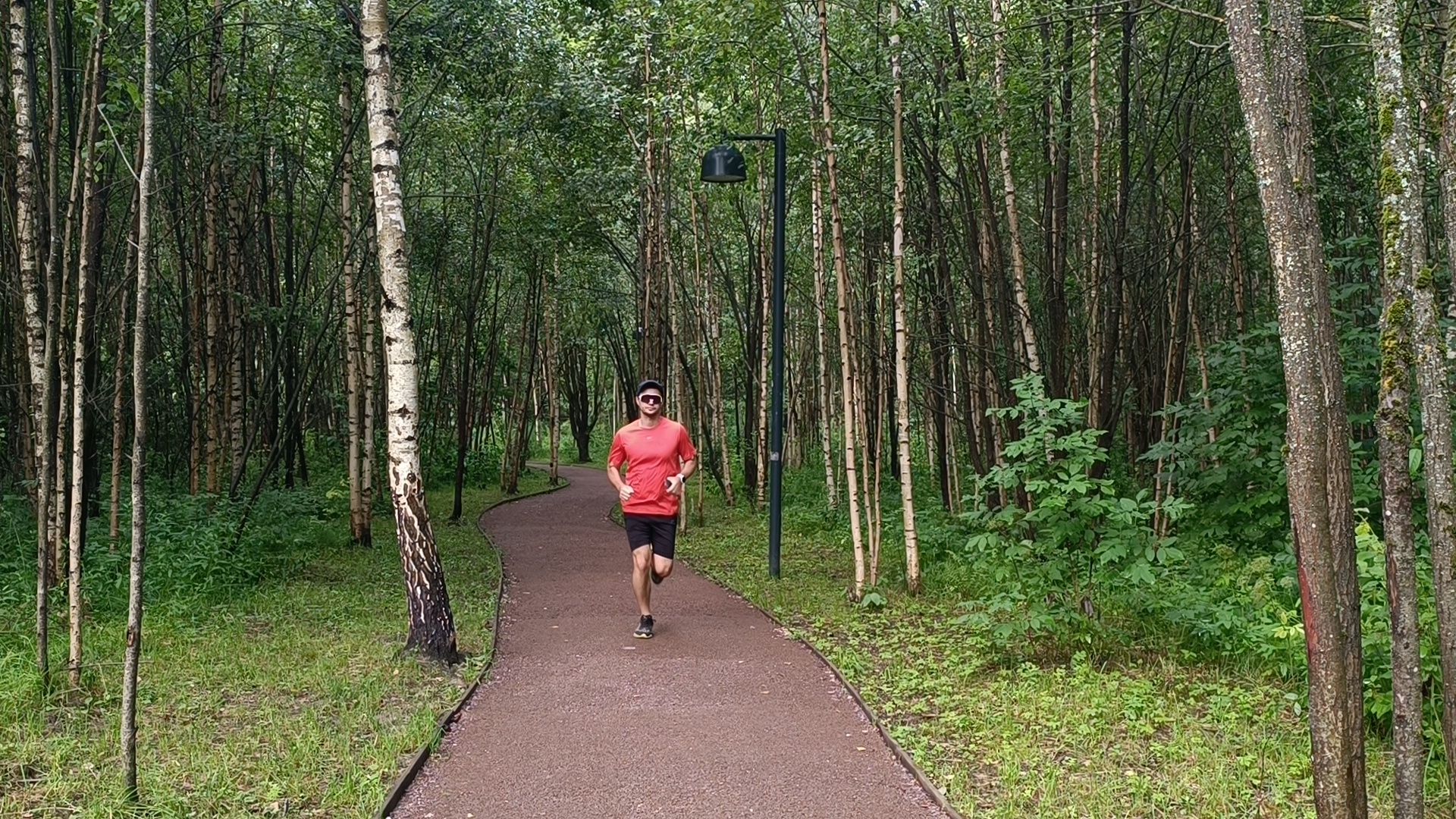 бег, спорт, лобня, лесопарк,