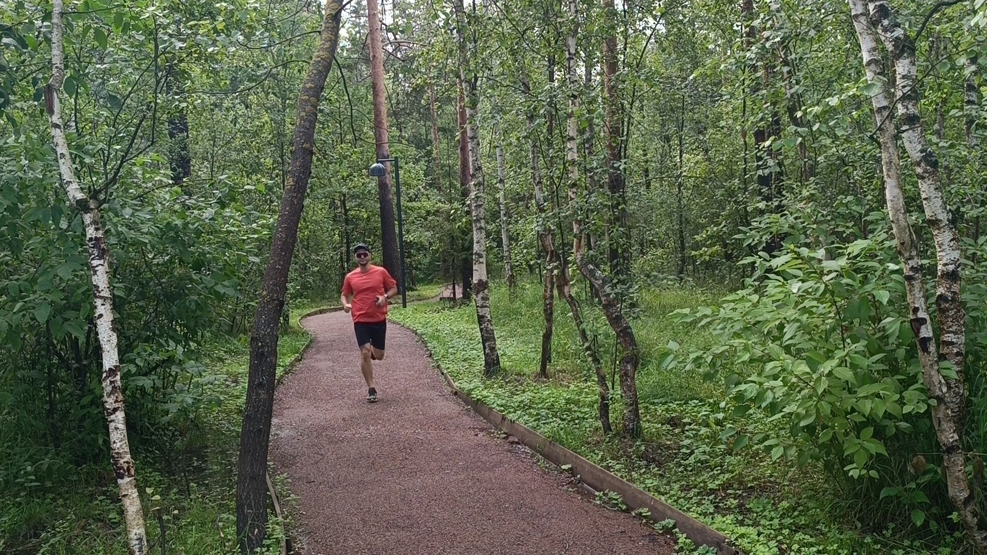 бег, спорт, лобня, лесопарк,