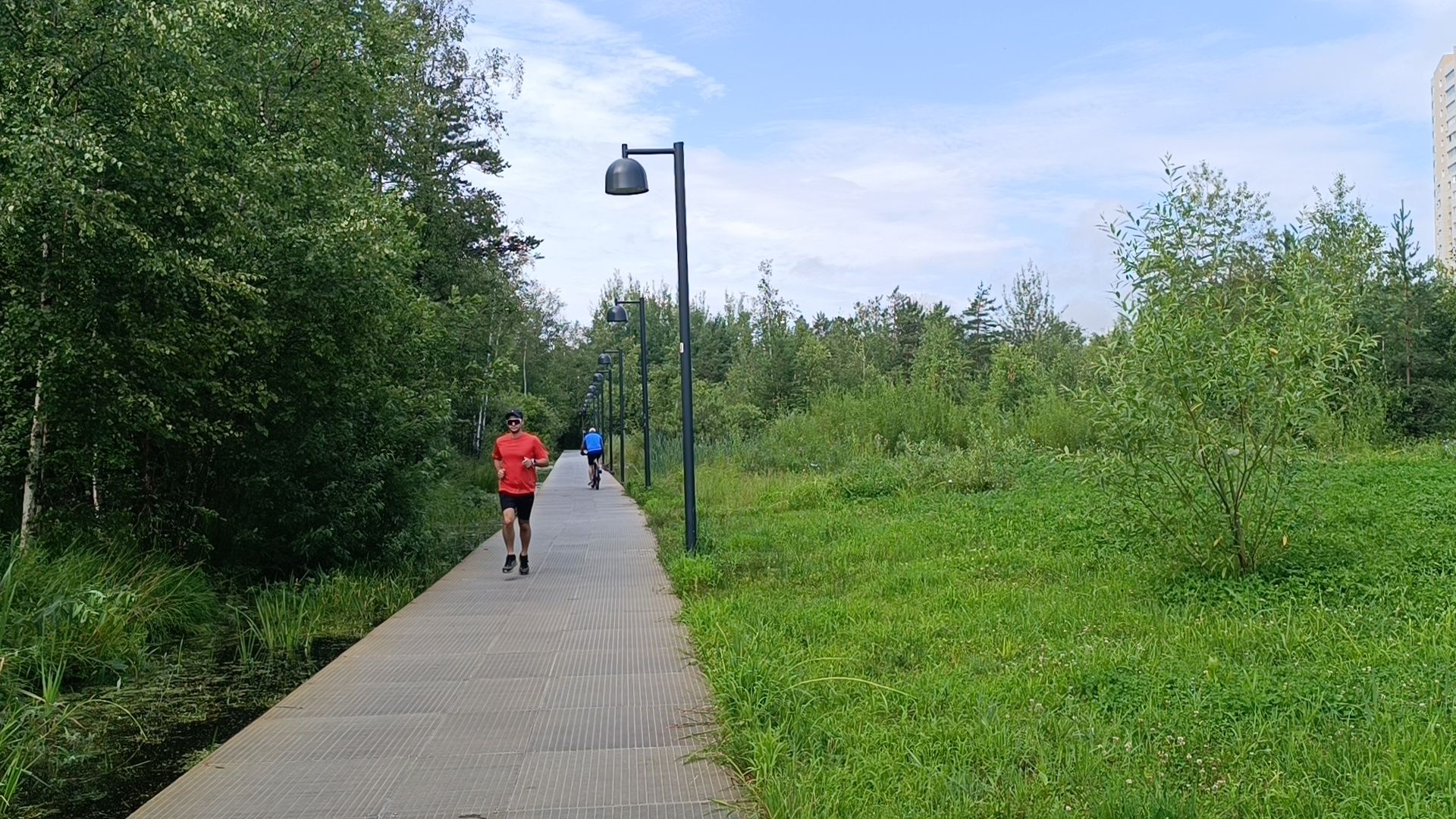 бег, спорт, лобня, лесопарк,