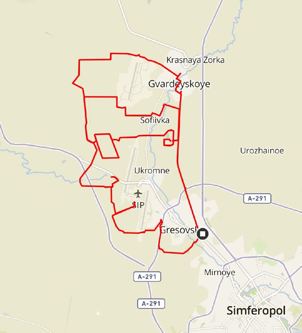 бег, спорт, лобня, лесопарк,