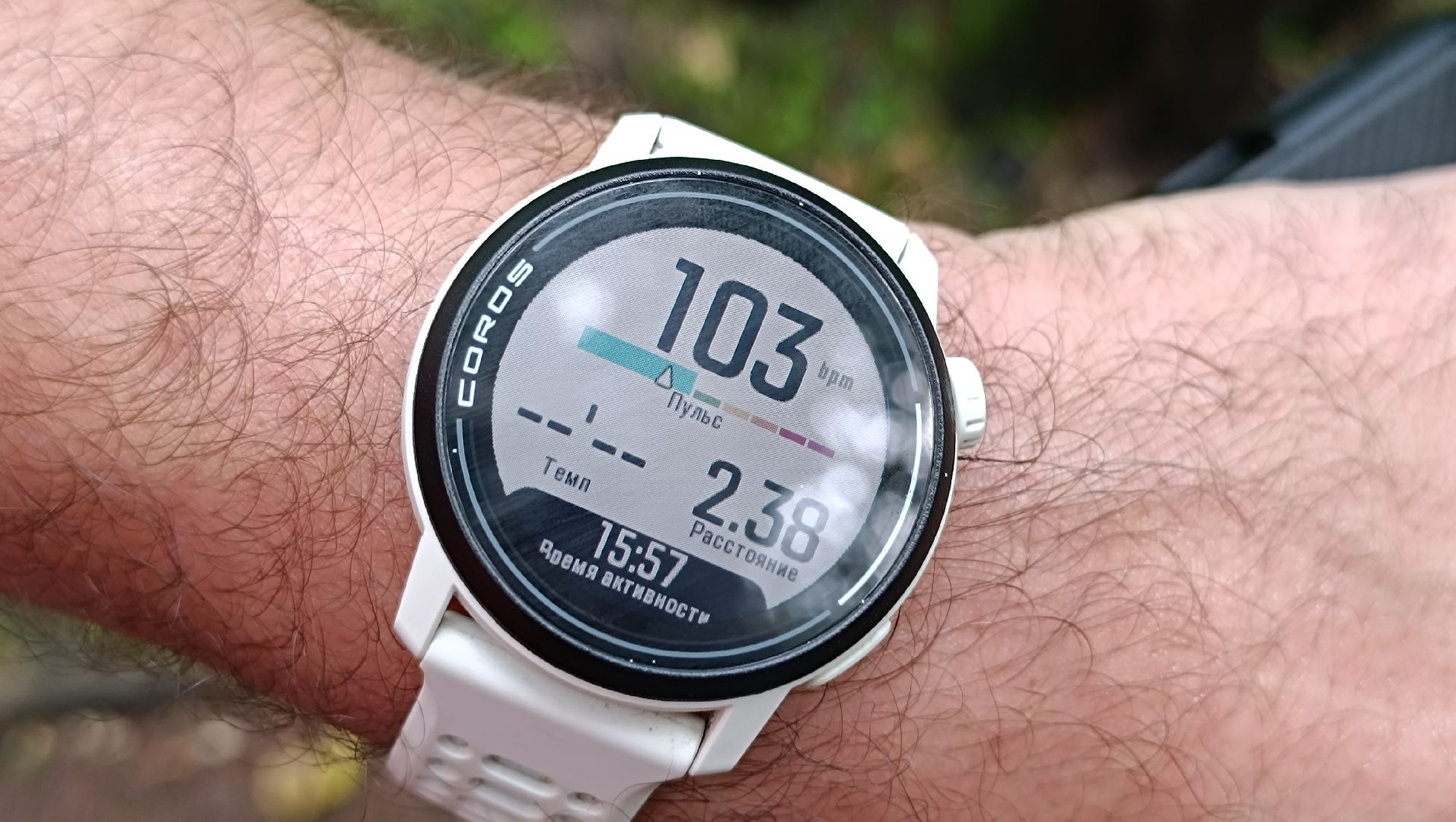 бег, спорт, лобня, лесопарк,