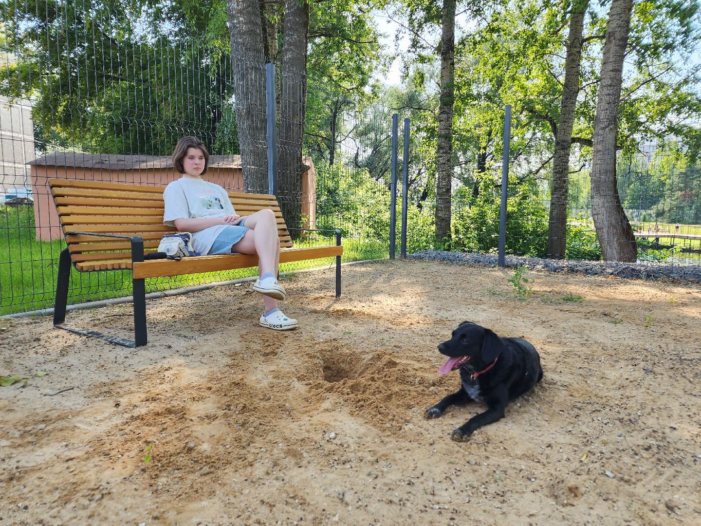 чехов, улица ильича, набережная реки теребенка, площадка для выгула собак, игровые элементы, прогулки и занятия с собаками, огороженная зона, скамейки и урны, благоустройство набережной, госпрограмма московской области, формирование комфортной городской среды,