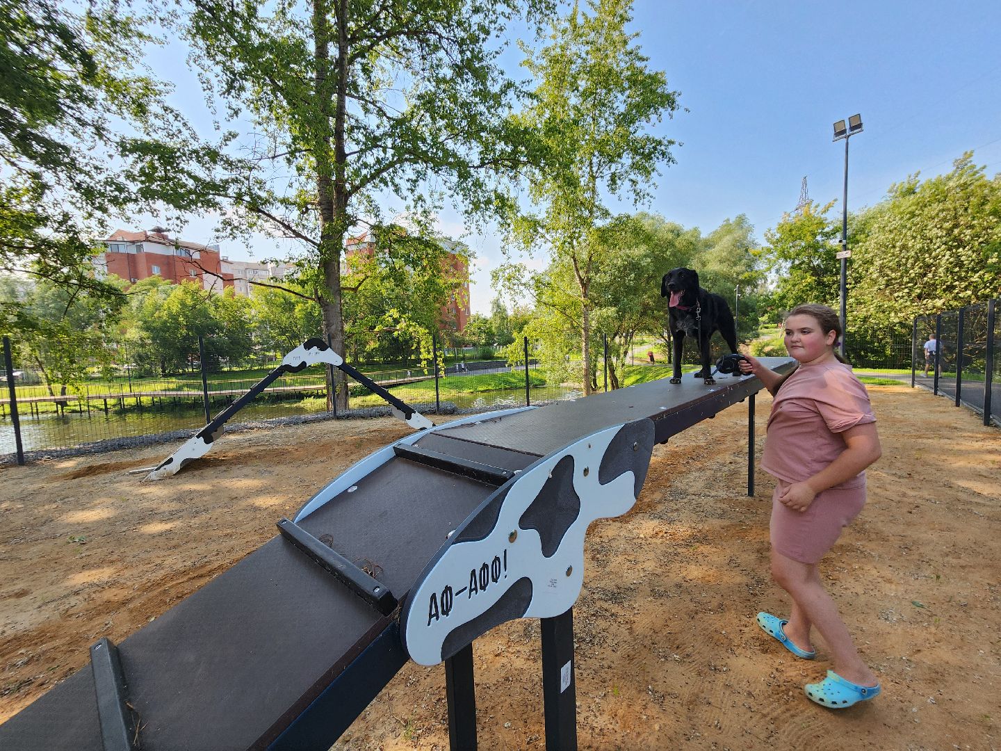 чехов, улица ильича, набережная реки теребенка, площадка для выгула собак, игровые элементы, прогулки и занятия с собаками, огороженная зона, скамейки и урны, благоустройство набережной, госпрограмма московской области, формирование комфортной городской среды,