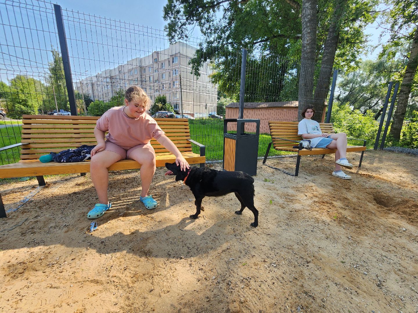 чехов, улица ильича, набережная реки теребенка, площадка для выгула собак, игровые элементы, прогулки и занятия с собаками, огороженная зона, скамейки и урны, благоустройство набережной, госпрограмма московской области, формирование комфортной городской среды,