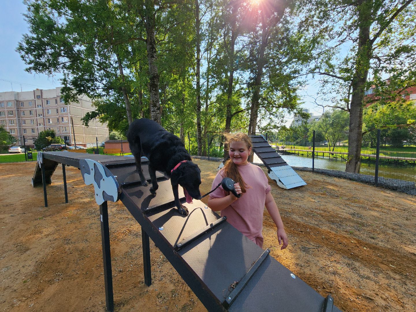 чехов, улица ильича, набережная реки теребенка, площадка для выгула собак, игровые элементы, прогулки и занятия с собаками, огороженная зона, скамейки и урны, благоустройство набережной, госпрограмма московской области, формирование комфортной городской среды,