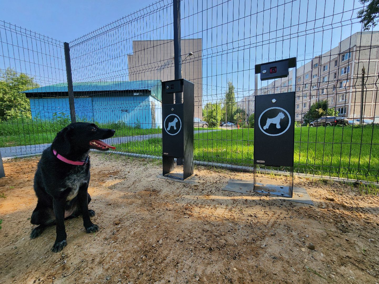 чехов, улица ильича, набережная реки теребенка, площадка для выгула собак, игровые элементы, прогулки и занятия с собаками, огороженная зона, скамейки и урны, благоустройство набережной, госпрограмма московской области, формирование комфортной городской среды,
