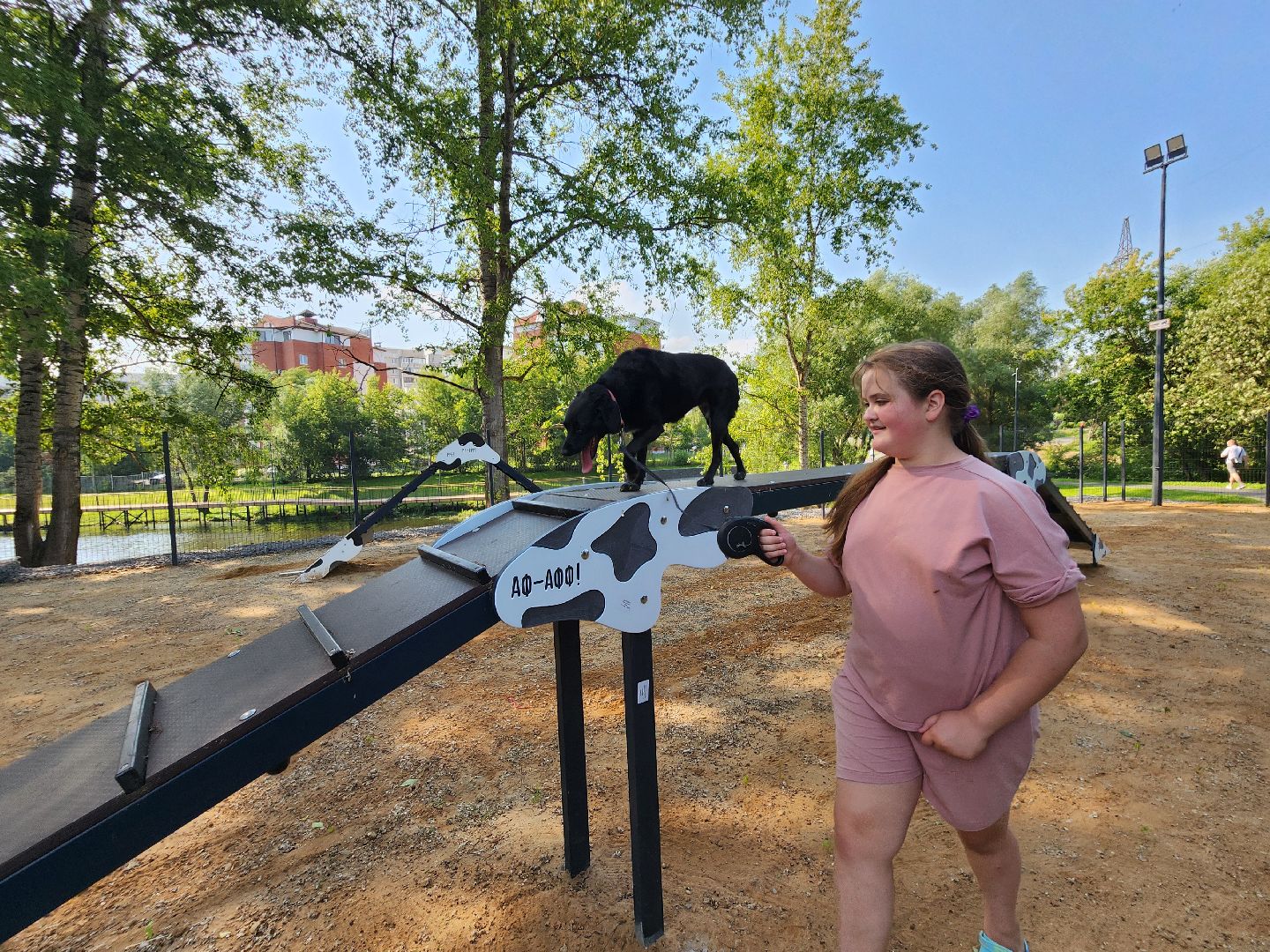 чехов, улица ильича, набережная реки теребенка, площадка для выгула собак, игровые элементы, прогулки и занятия с собаками, огороженная зона, скамейки и урны, благоустройство набережной, госпрограмма московской области, формирование комфортной городской среды,