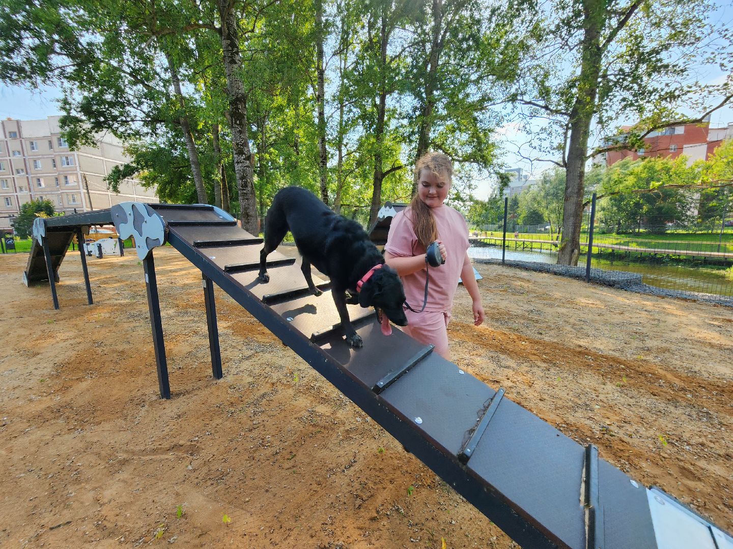 чехов, улица ильича, набережная реки теребенка, площадка для выгула собак, игровые элементы, прогулки и занятия с собаками, огороженная зона, скамейки и урны, благоустройство набережной, госпрограмма московской области, формирование комфортной городской среды,
