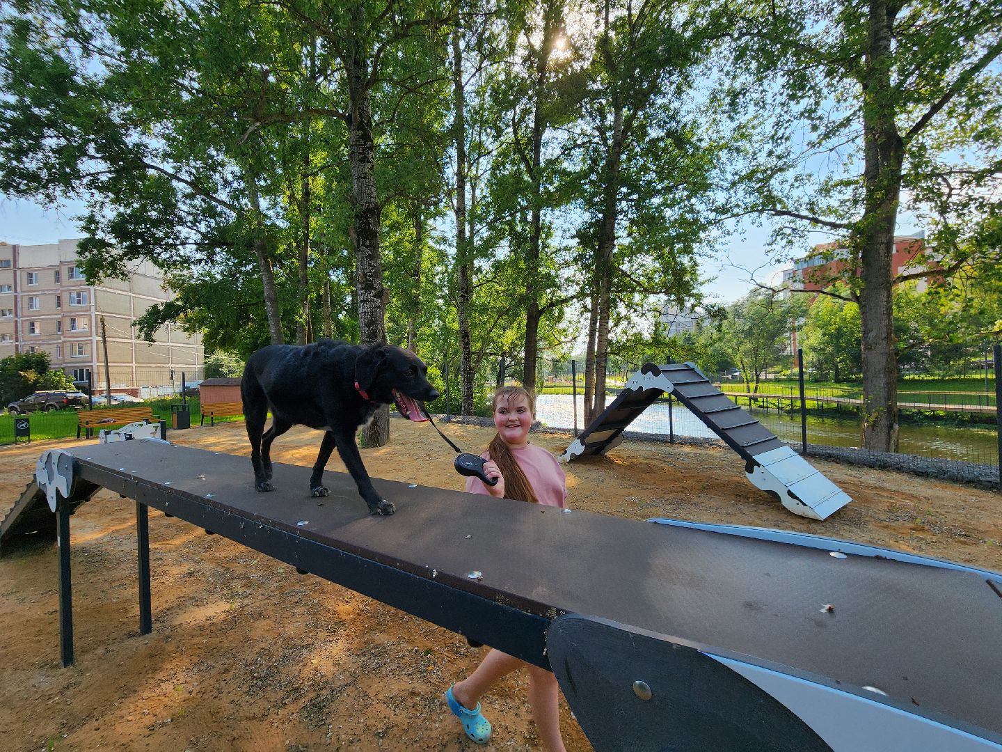 чехов, улица ильича, набережная реки теребенка, площадка для выгула собак, игровые элементы, прогулки и занятия с собаками, огороженная зона, скамейки и урны, благоустройство набережной, госпрограмма московской области, формирование комфортной городской среды,