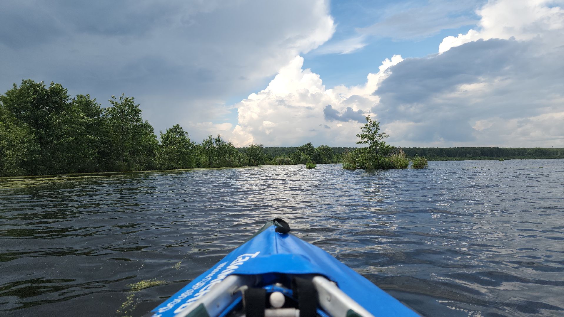 мытищи, лосиный остров,