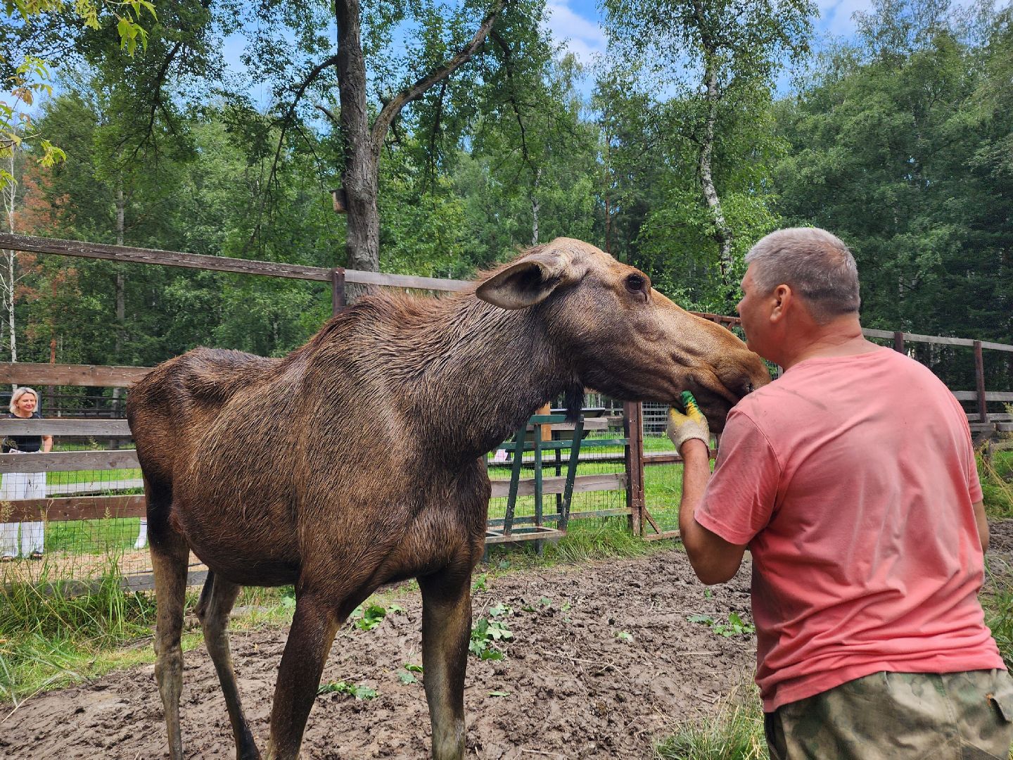 мытищи, лосиный остров,