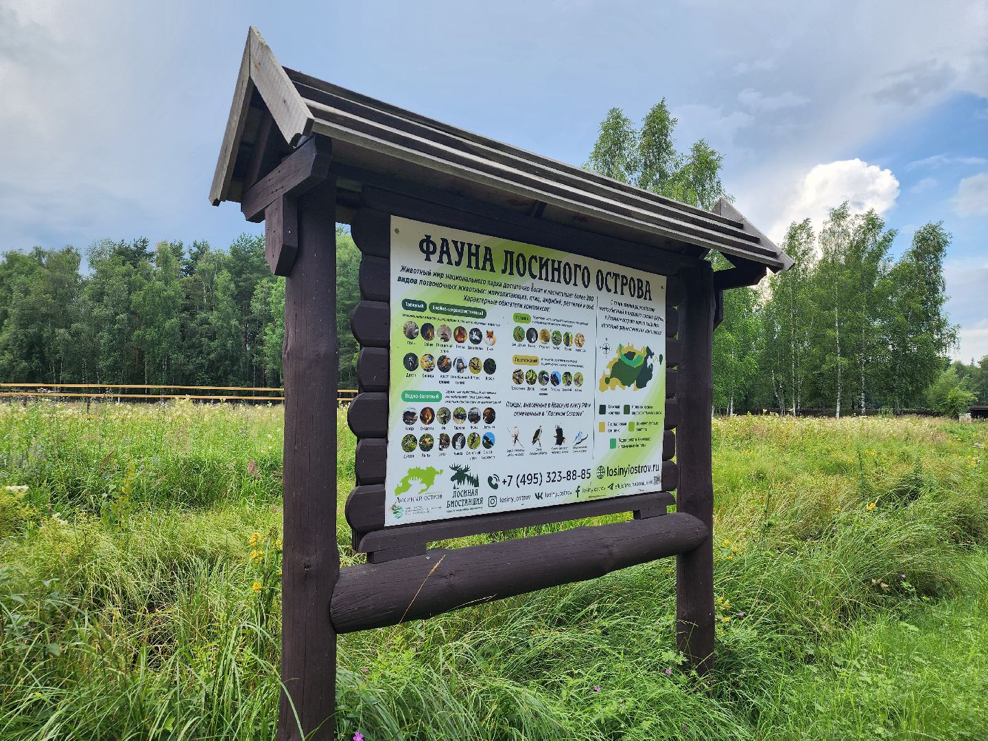 мытищи, лосиный остров,