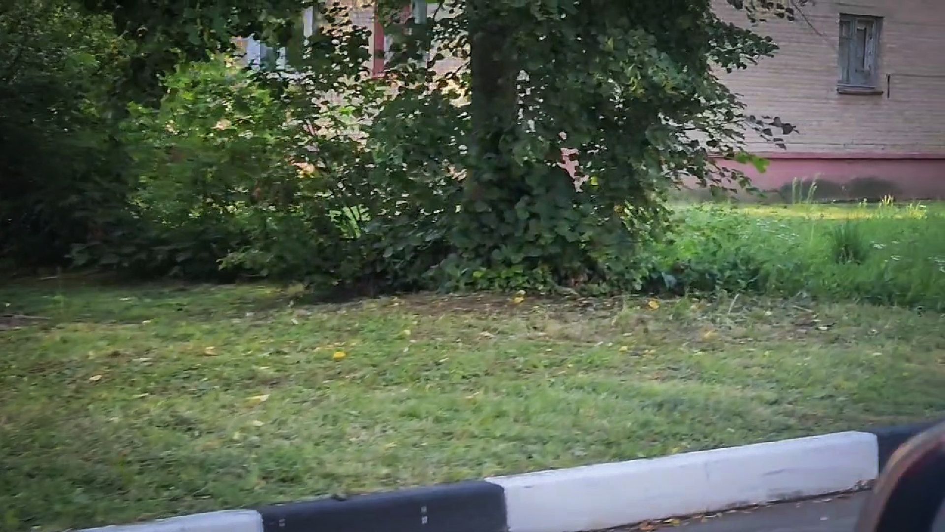 выездная администрация в воскресенске, обращение жителей, обращение к главе города, благоустройство ,