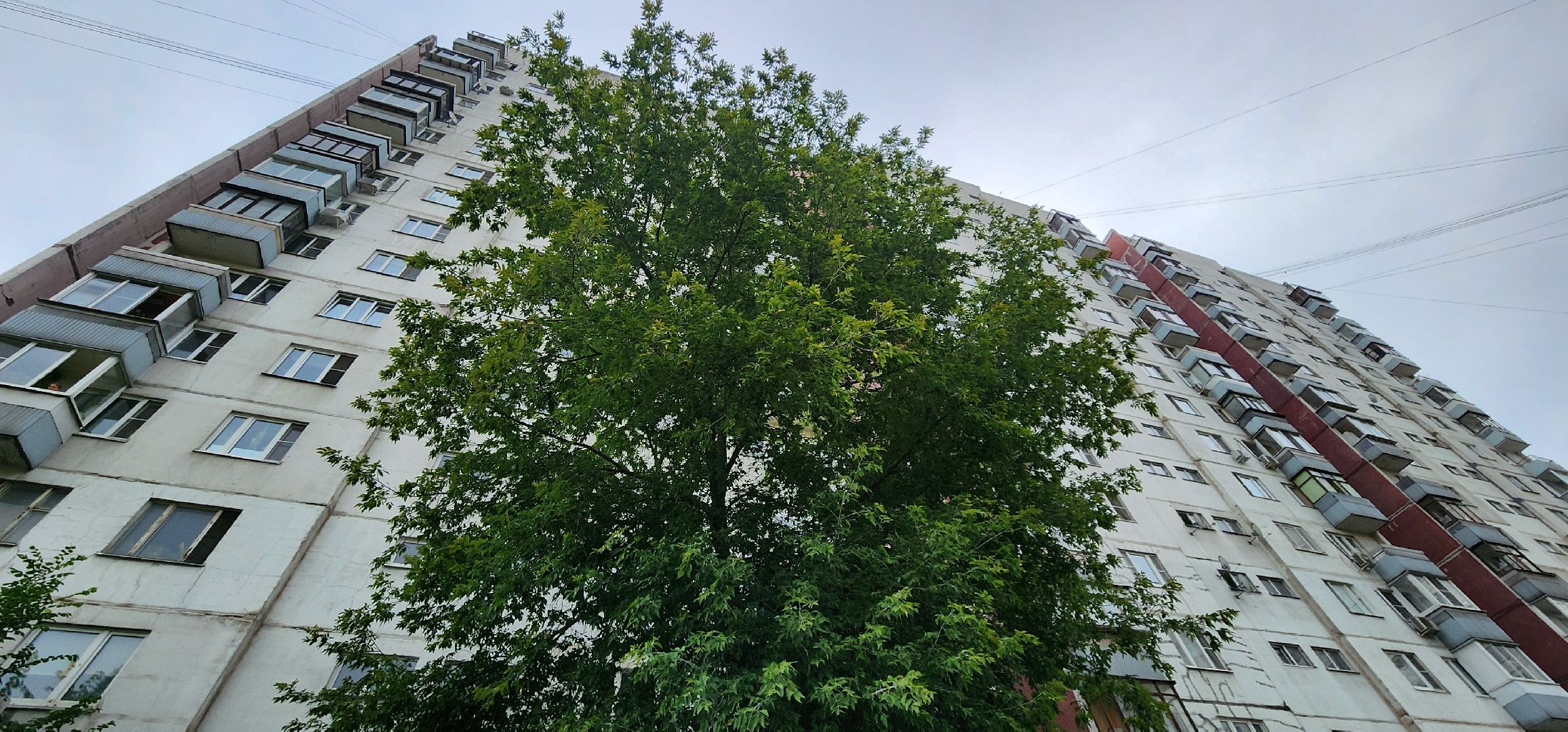 Химки, ЖКХ, Благоустройство ,