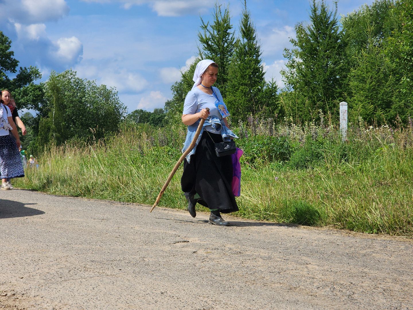 от государя к преподобному, крестный ход, троице-сергиева лавра,  покровский монастырь, мураново, обретение мощей, летний сергий, хотьково, сергиев посад,