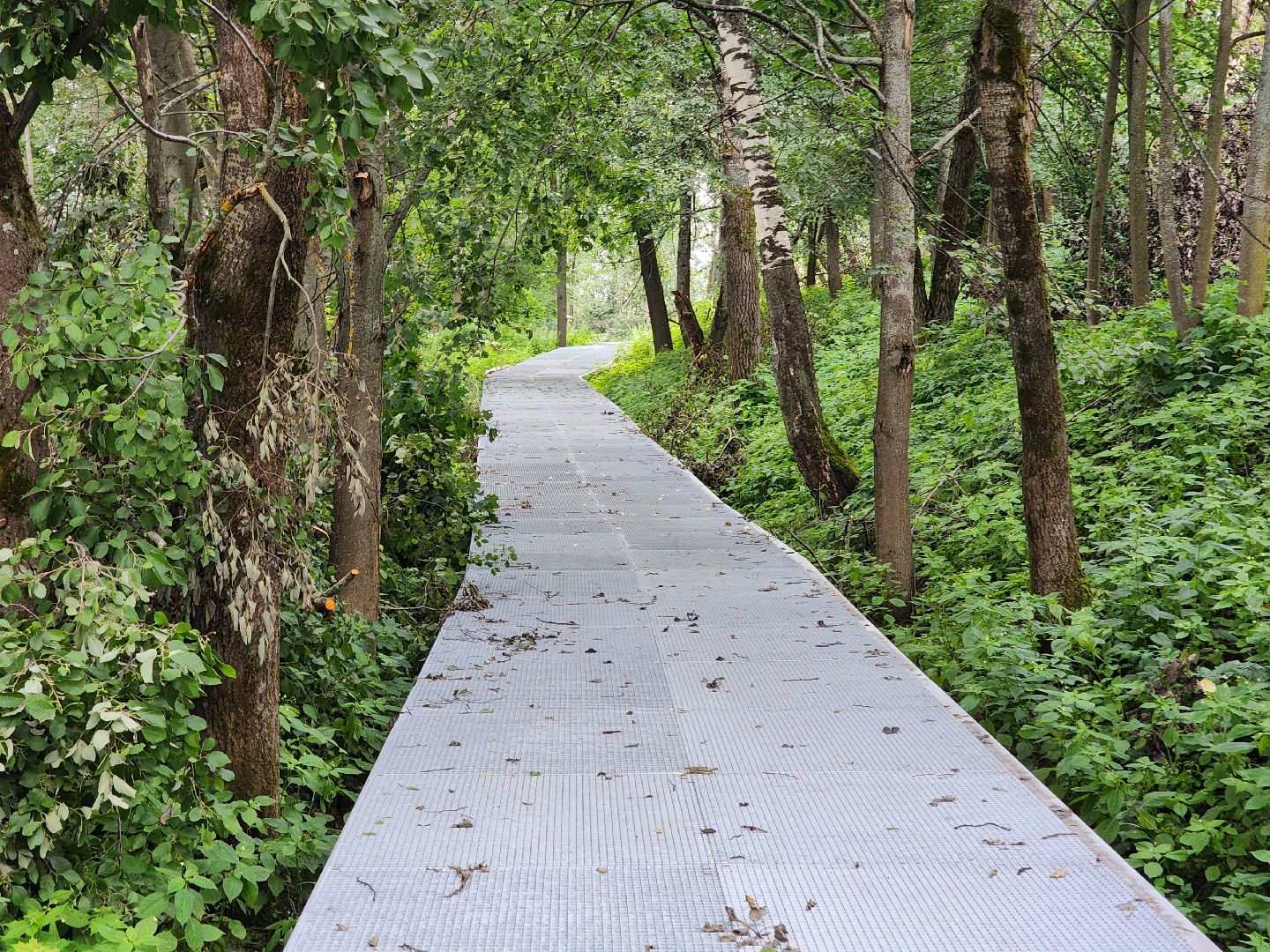 солнечногорск, строительство , набережная, озеро, жители , контроль,