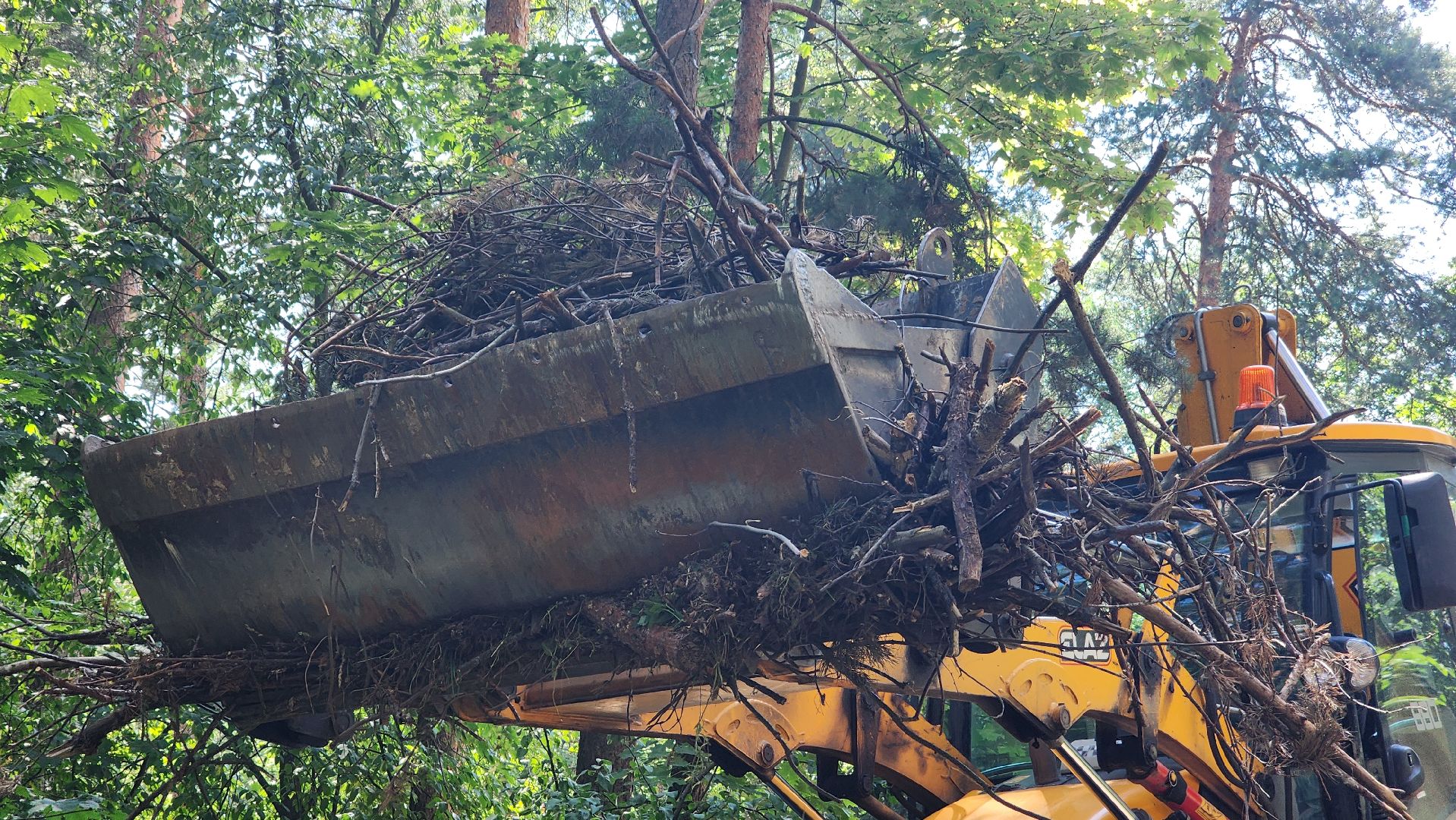 протвино, комбинат благоустройства, уборка веток,