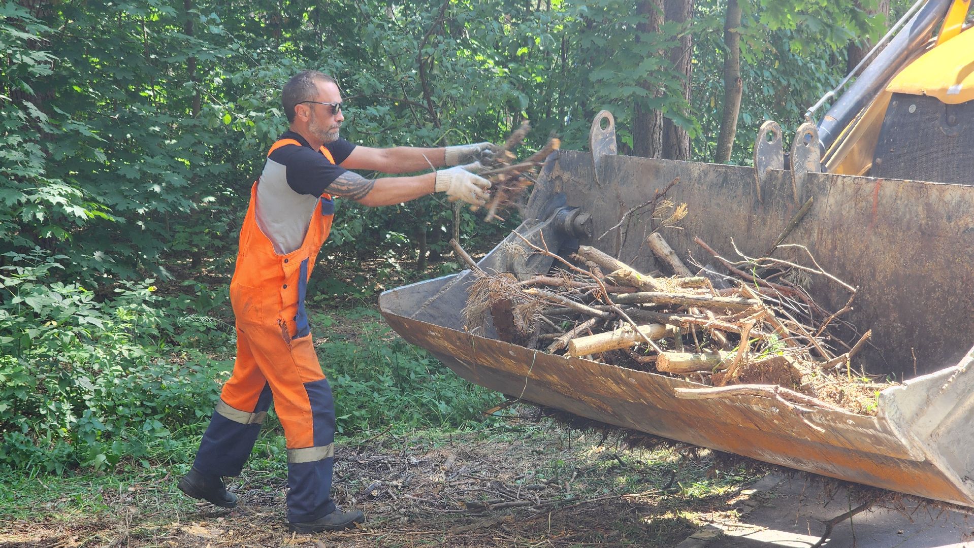 протвино, комбинат благоустройства, уборка веток,