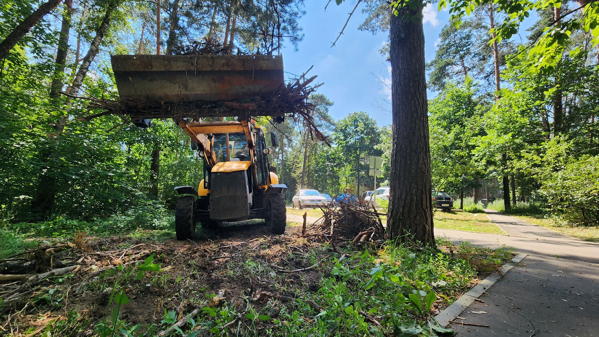 протвино, комбинат благоустройства, уборка веток,