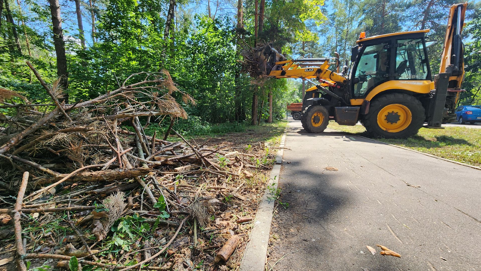 протвино, комбинат благоустройства, уборка веток,