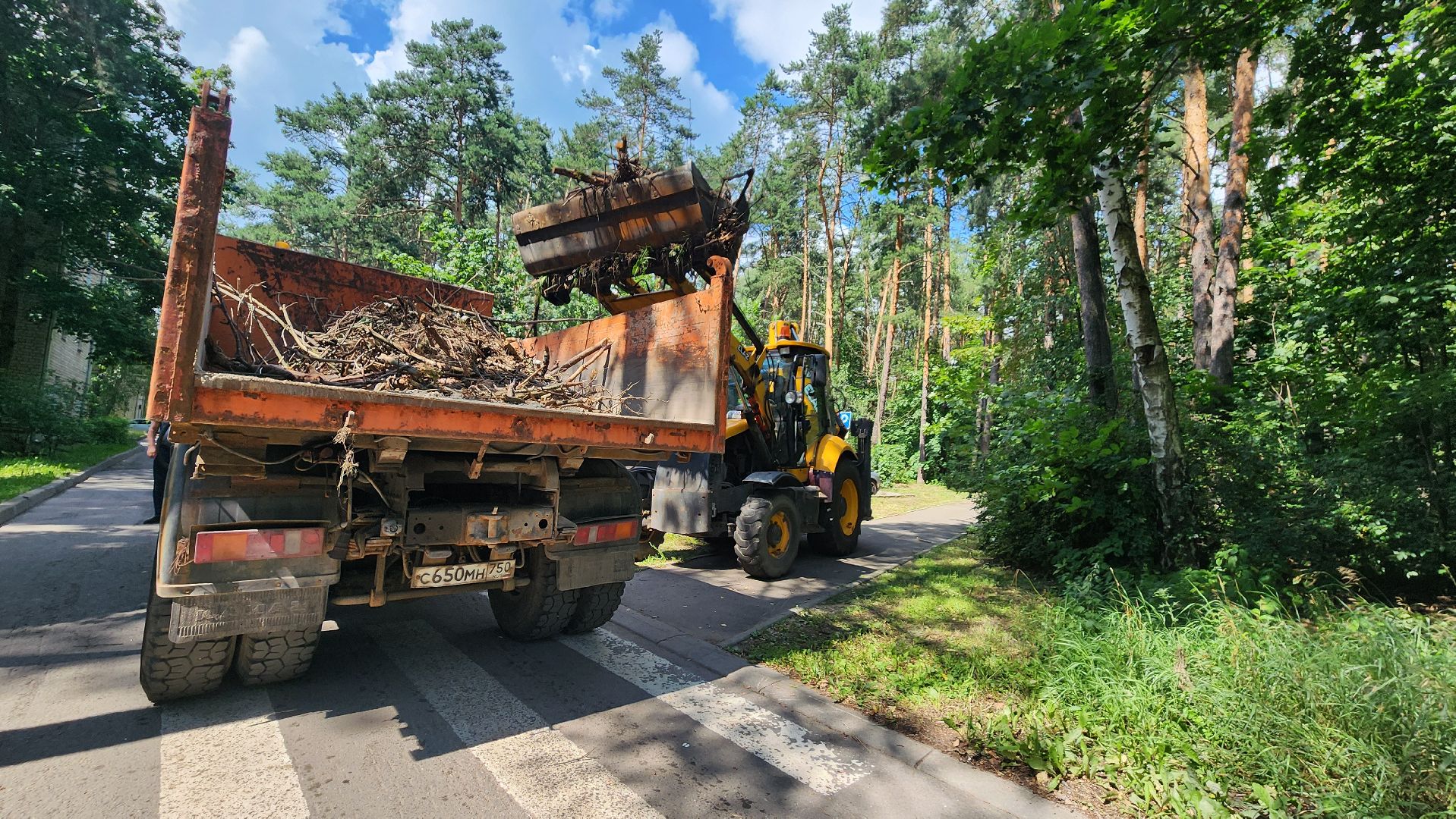 протвино, комбинат благоустройства, уборка веток,