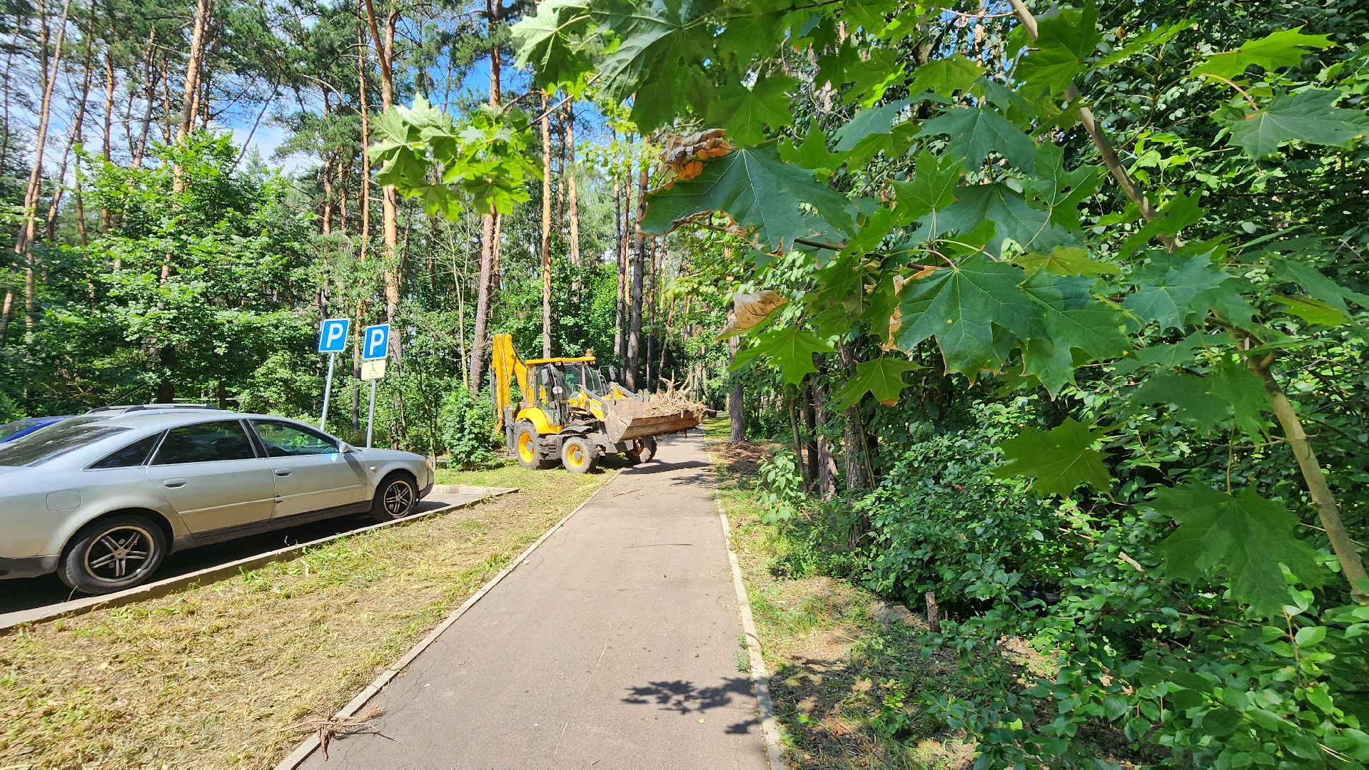 протвино, комбинат благоустройства, уборка веток,