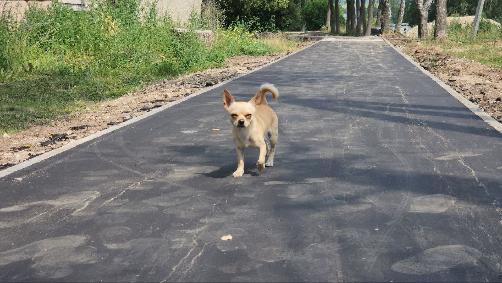 Орешково #Благоустройство #НовыеДороги #КомфортнаяСреда #Луховицы,