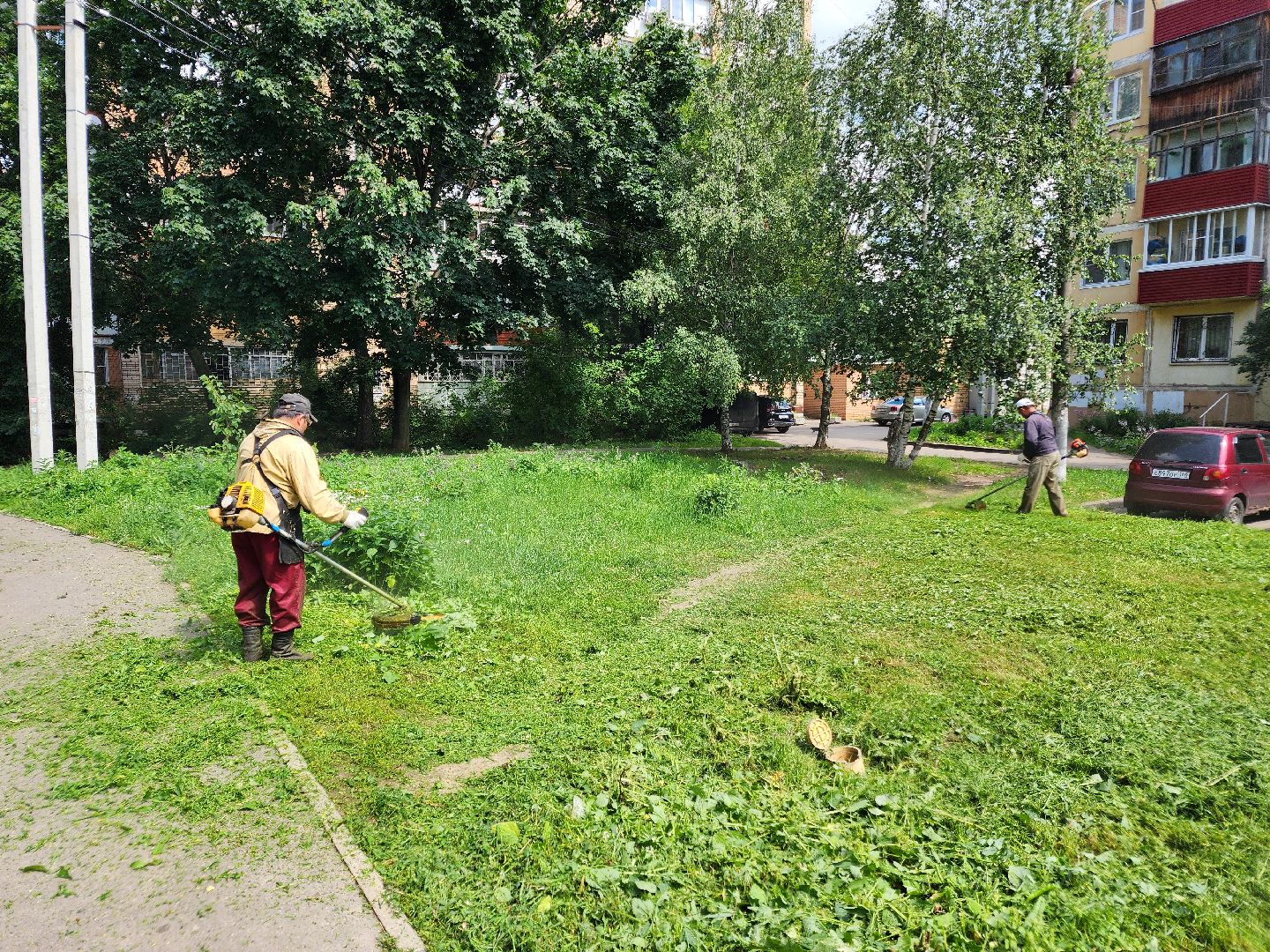 чехов, вишневый бульвар, покос травы, придомовая территория, уборка мусора, газонокосилки, триммеры, мбу чеховское благоустройство,заявки жителей, добродел,