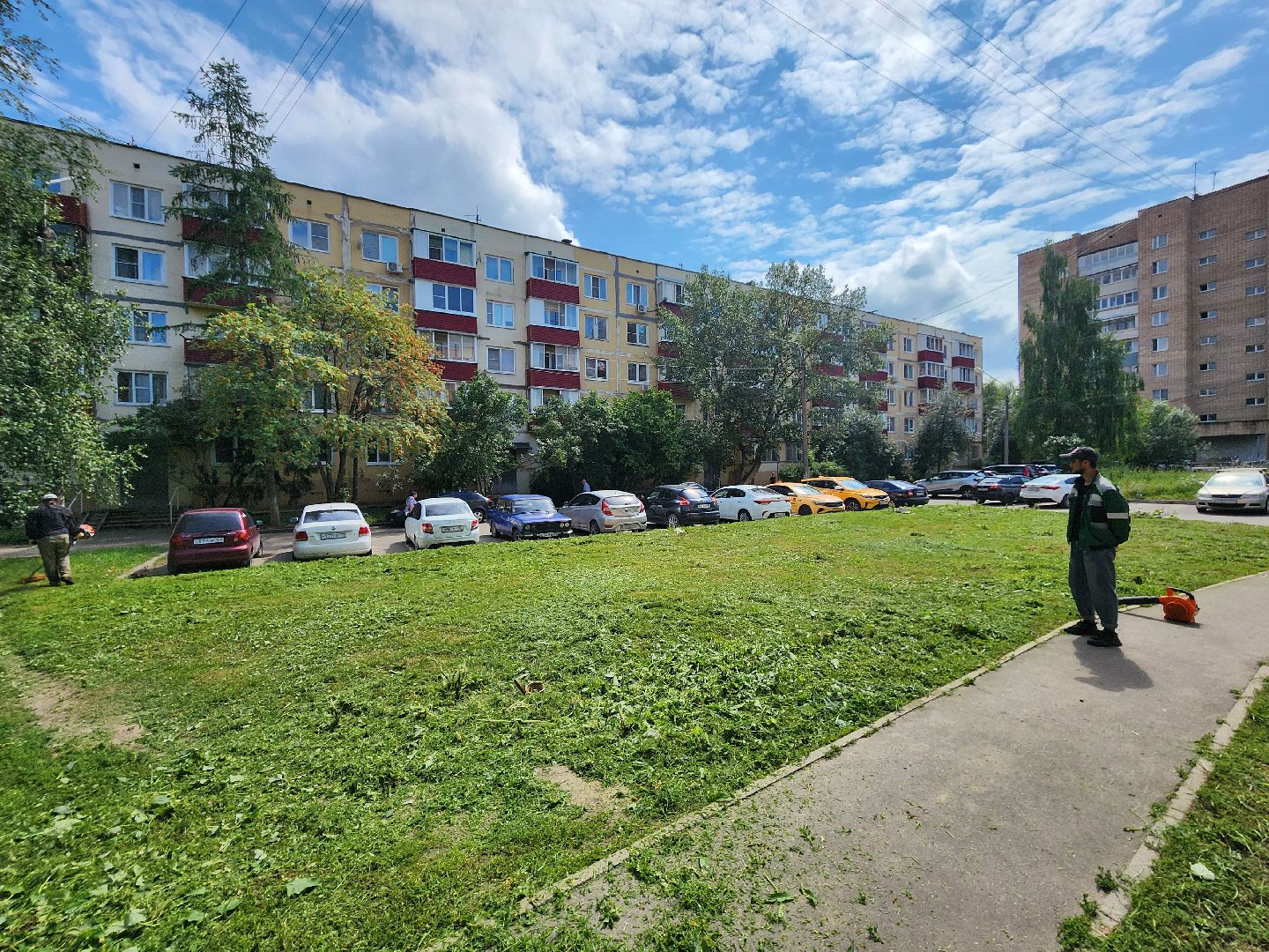 чехов, вишневый бульвар, покос травы, придомовая территория, уборка мусора, газонокосилки, триммеры, мбу чеховское благоустройство,заявки жителей, добродел,