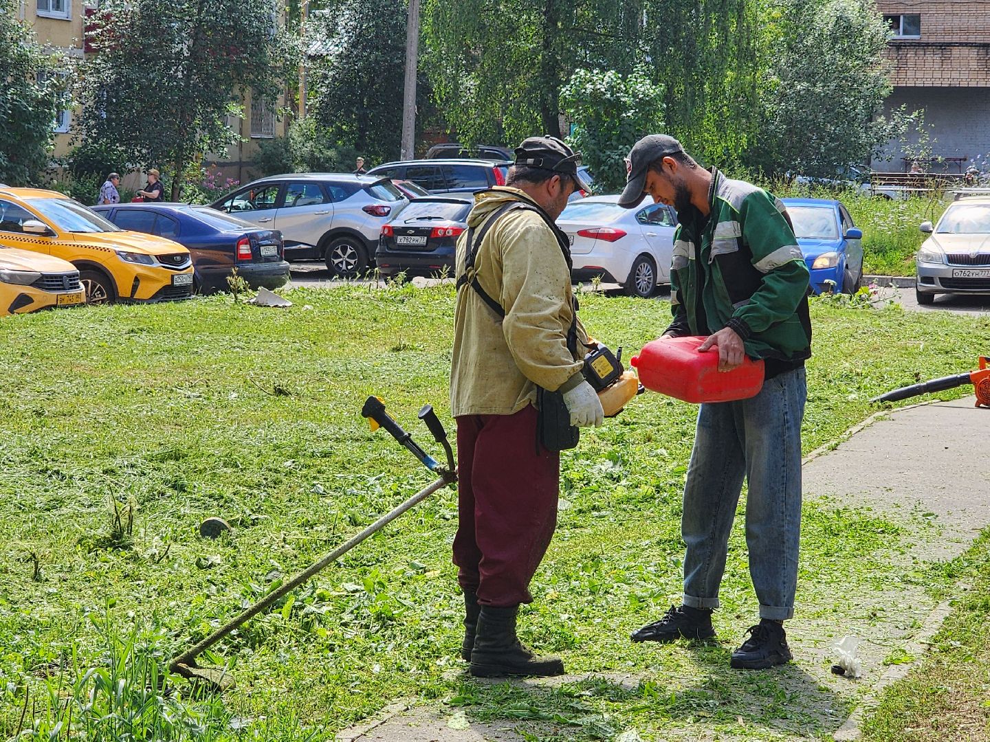чехов, вишневый бульвар, покос травы, придомовая территория, уборка мусора, газонокосилки, триммеры, мбу чеховское благоустройство,заявки жителей, добродел,