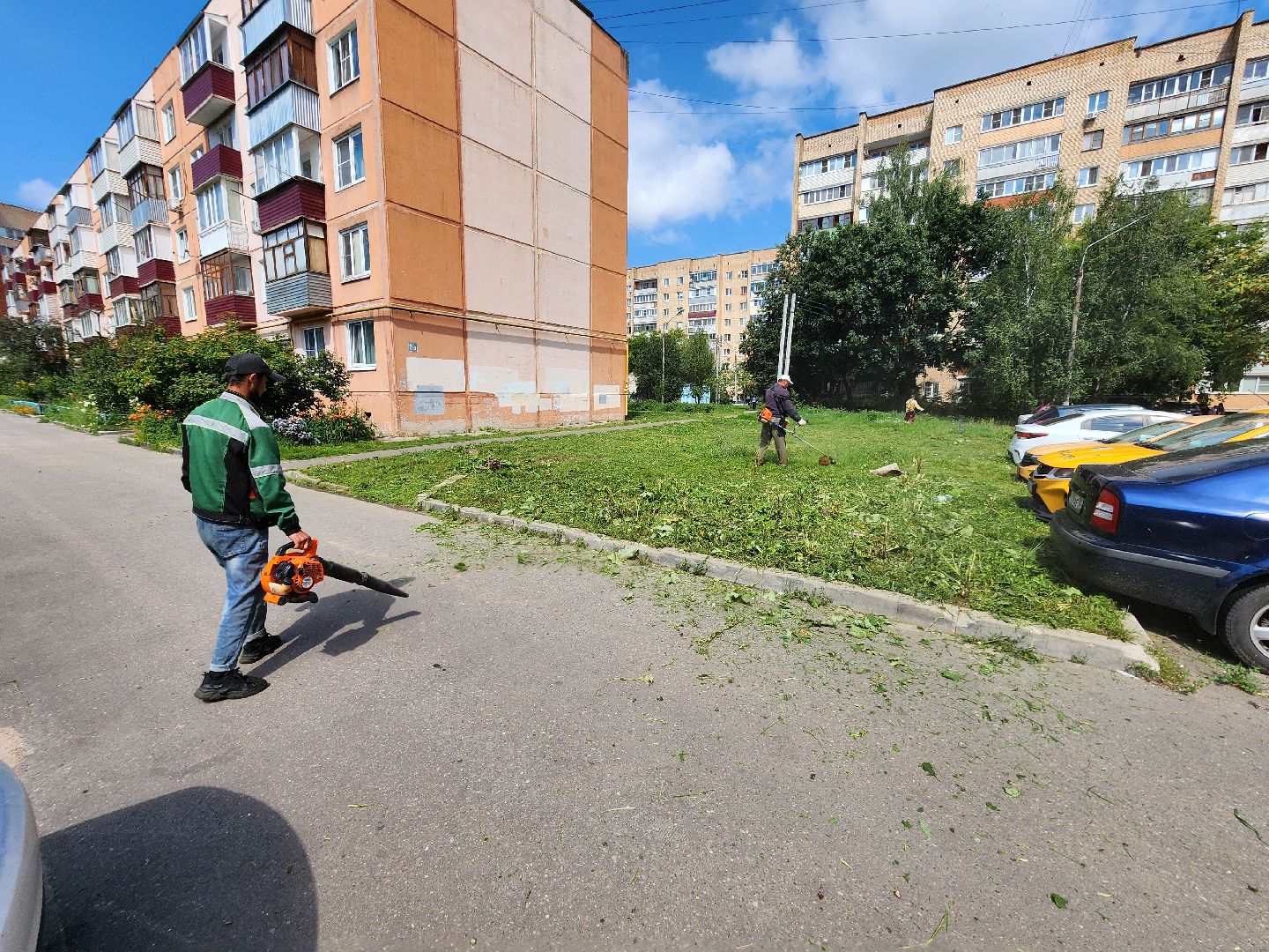 чехов, вишневый бульвар, покос травы, придомовая территория, уборка мусора, газонокосилки, триммеры, мбу чеховское благоустройство,заявки жителей, добродел,