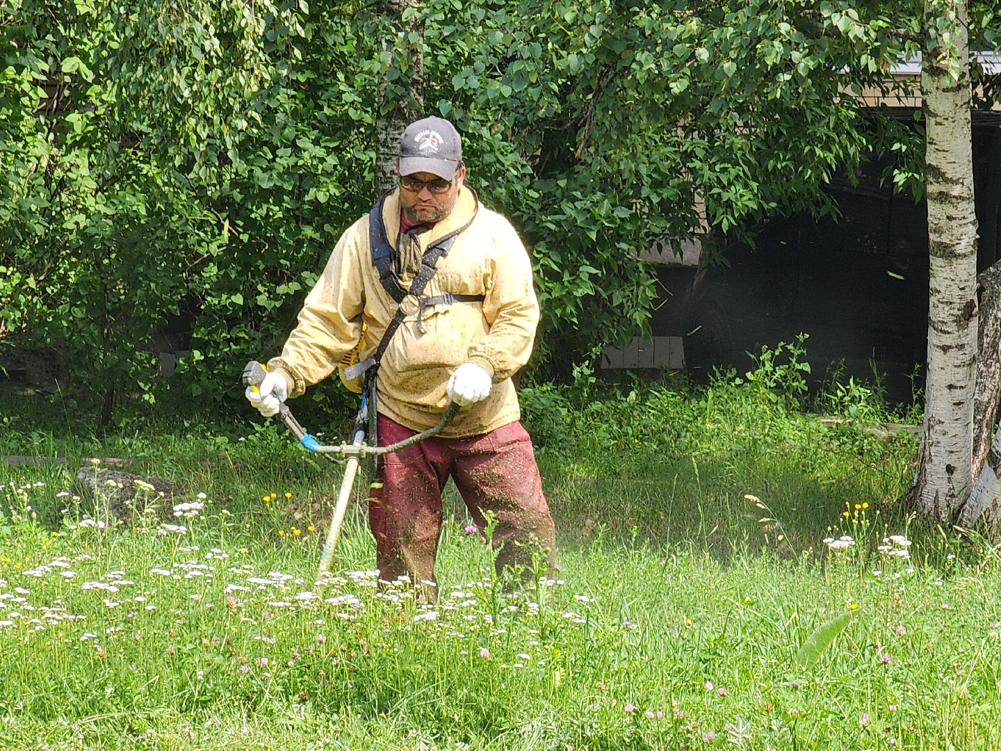 чехов, вишневый бульвар, покос травы, придомовая территория, уборка мусора, газонокосилки, триммеры, мбу чеховское благоустройство,заявки жителей, добродел,