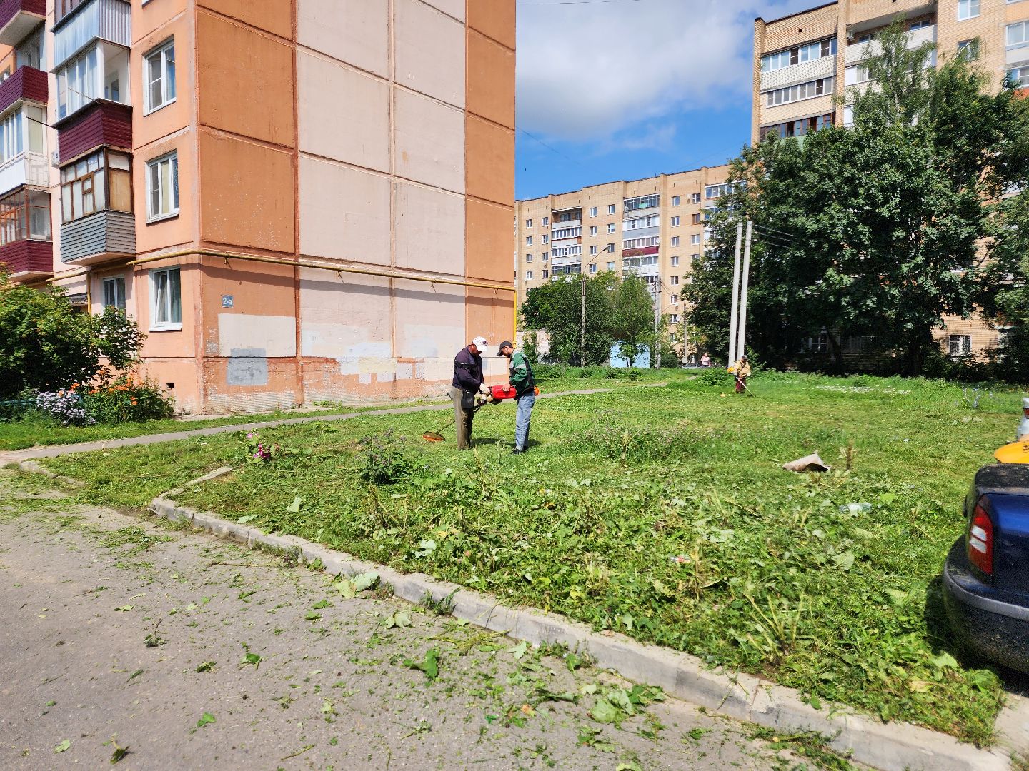 чехов, вишневый бульвар, покос травы, придомовая территория, уборка мусора, газонокосилки, триммеры, мбу чеховское благоустройство,заявки жителей, добродел,