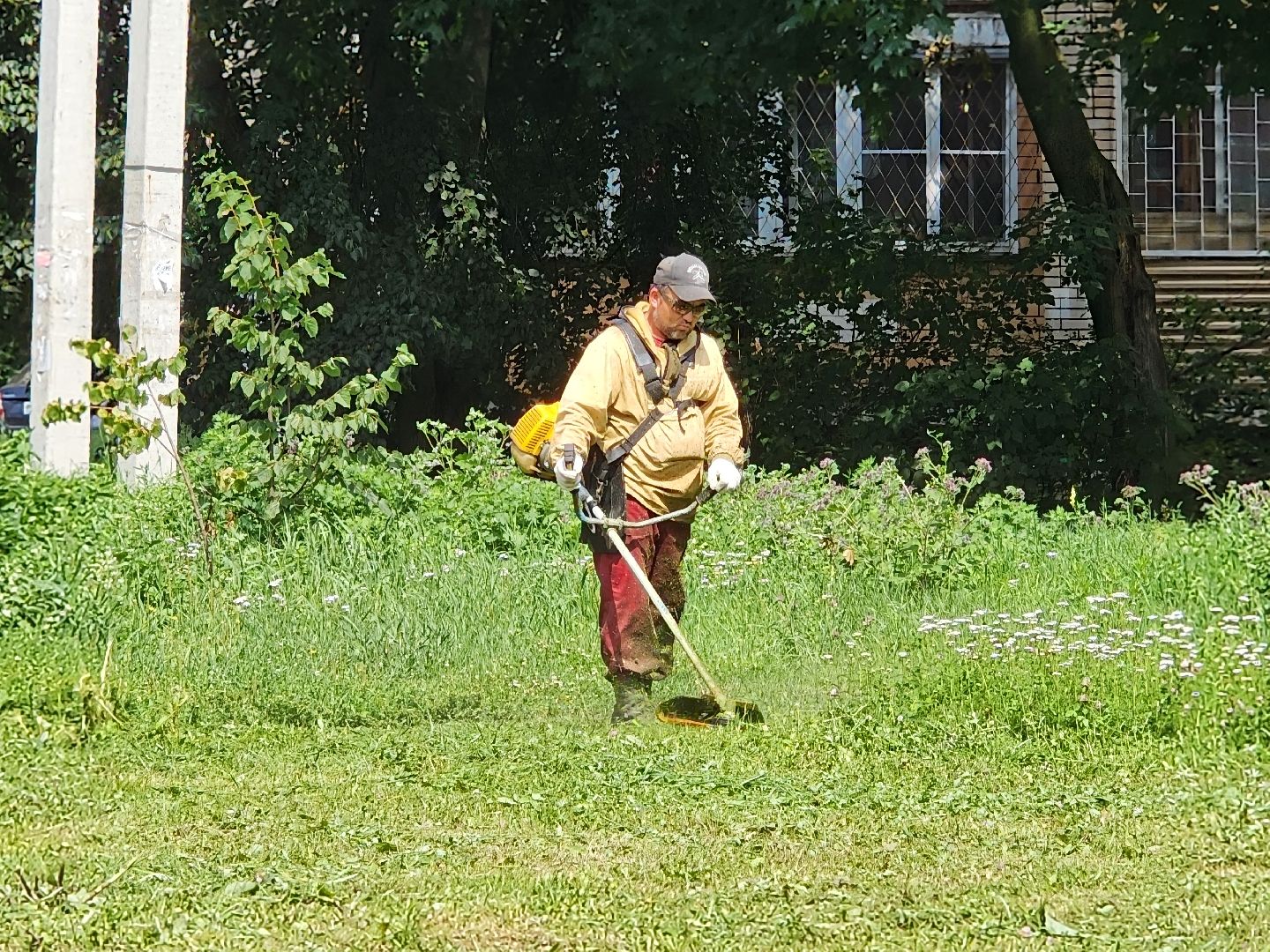 чехов, вишневый бульвар, покос травы, придомовая территория, уборка мусора, газонокосилки, триммеры, мбу чеховское благоустройство,заявки жителей, добродел,