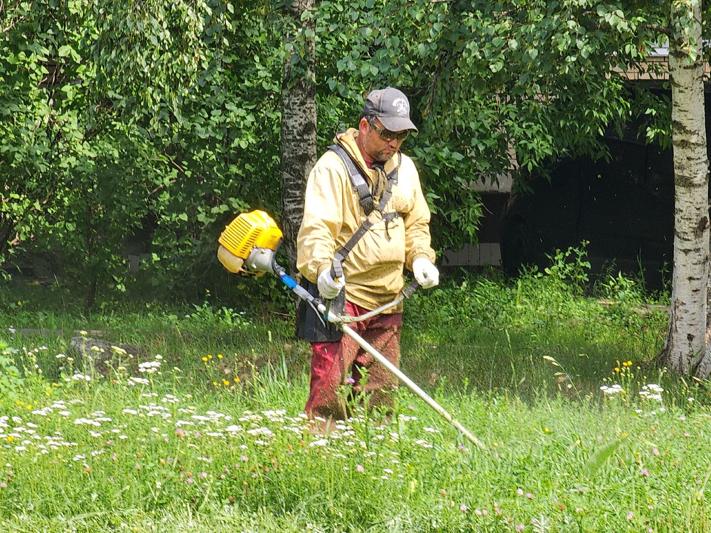 чехов, вишневый бульвар, покос травы, придомовая территория, уборка мусора, газонокосилки, триммеры, мбу чеховское благоустройство,заявки жителей, добродел,