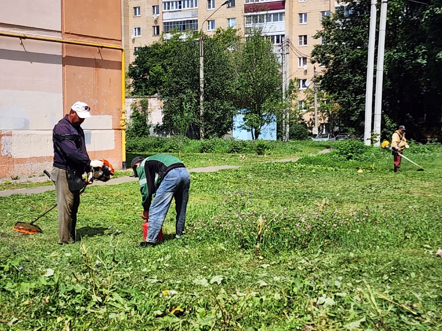 чехов, вишневый бульвар, покос травы, придомовая территория, уборка мусора, газонокосилки, триммеры, мбу чеховское благоустройство,заявки жителей, добродел,
