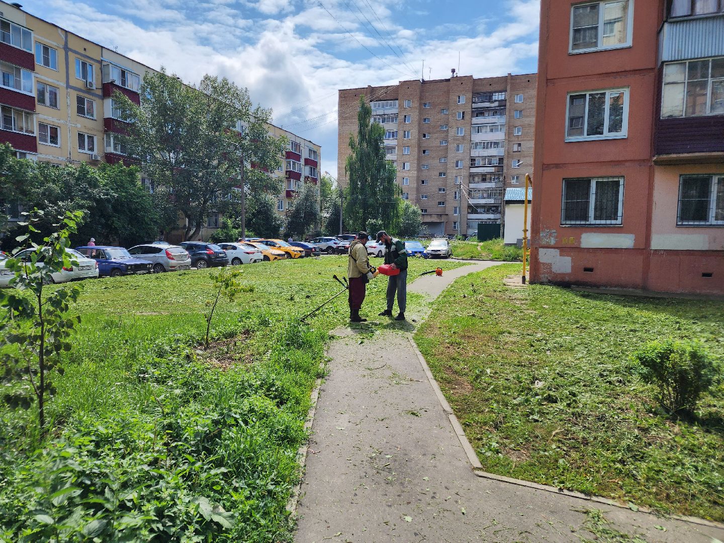 чехов, вишневый бульвар, покос травы, придомовая территория, уборка мусора, газонокосилки, триммеры, мбу чеховское благоустройство,заявки жителей, добродел,