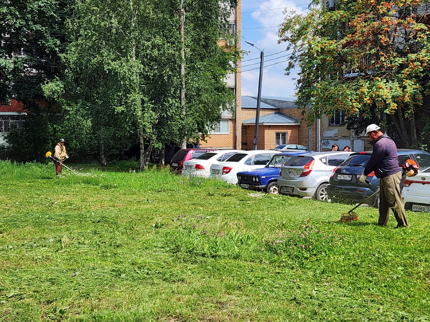 чехов, вишневый бульвар, покос травы, придомовая территория, уборка мусора, газонокосилки, триммеры, мбу чеховское благоустройство,заявки жителей, добродел,