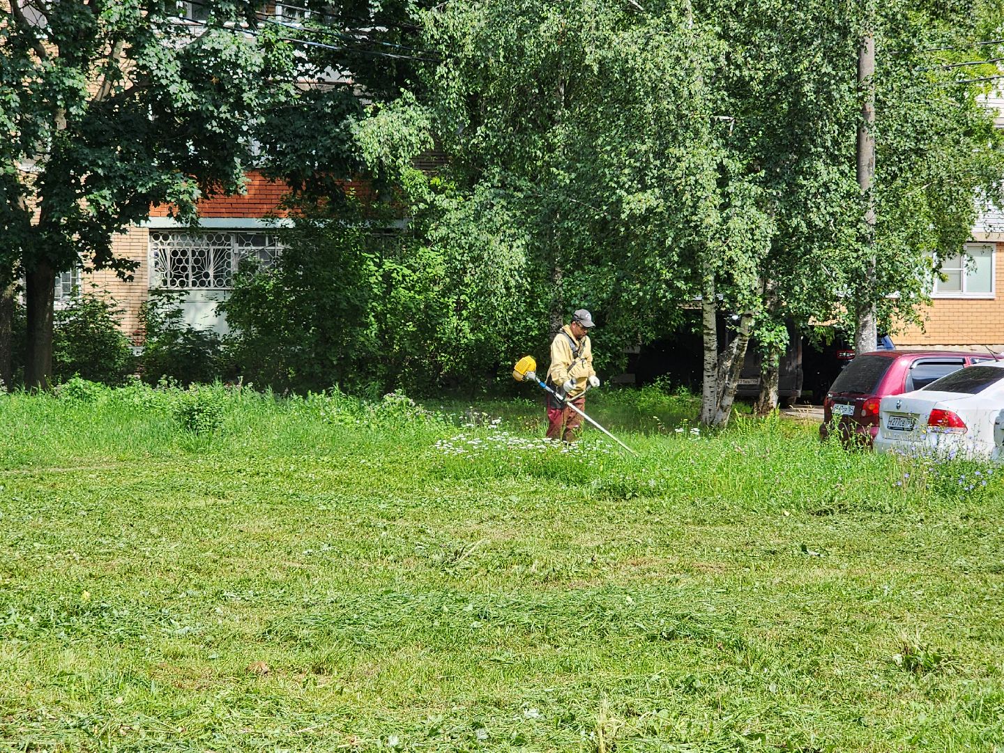 чехов, вишневый бульвар, покос травы, придомовая территория, уборка мусора, газонокосилки, триммеры, мбу чеховское благоустройство,заявки жителей, добродел,
