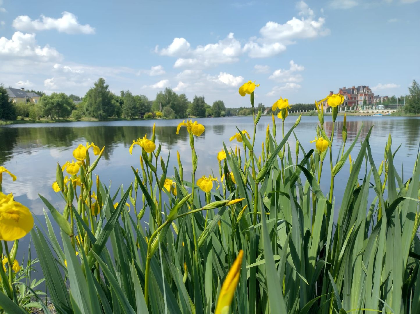 выездная администрация апрелевка, Экология, незаконное строительство,