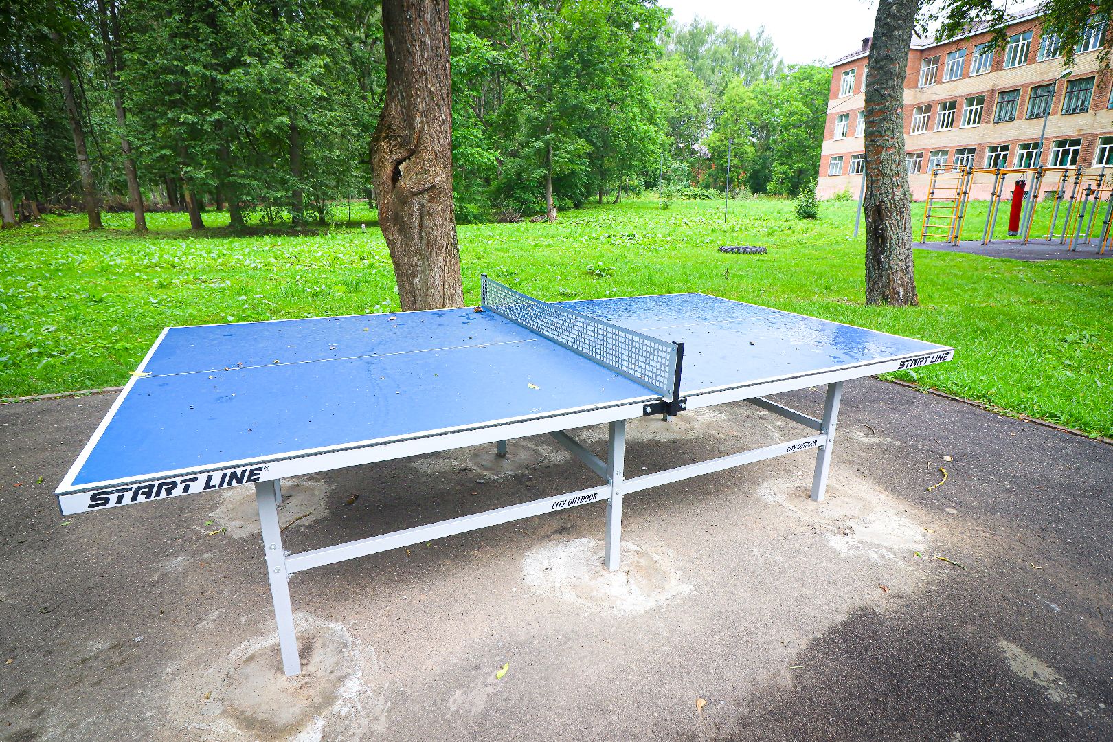 клин, общество, спорт, благоустройство,